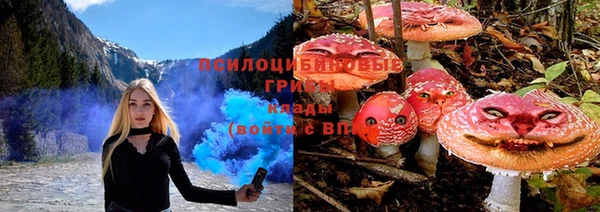 COCAINE Бородино