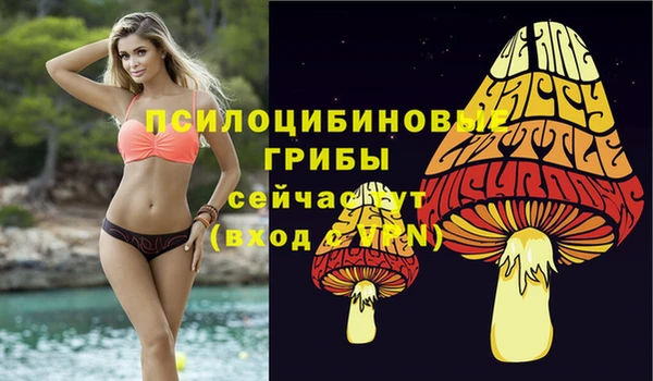 синтетический гашиш Бронницы