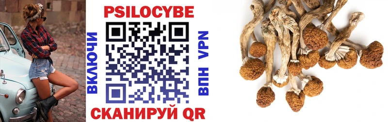 сколько стоит Новохопёрск Псилоцибиновые грибы GOLDEN TEACHER