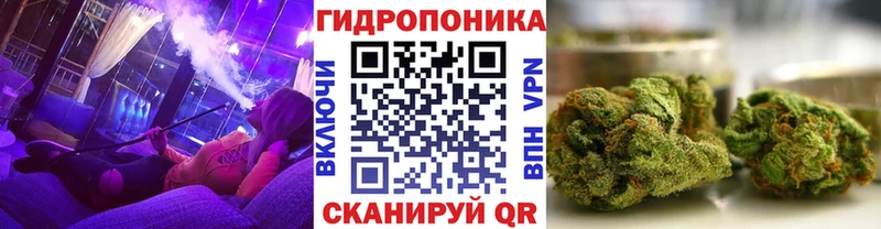 как найти   Новохопёрск  МАРИХУАНА ГИДРОПОН 